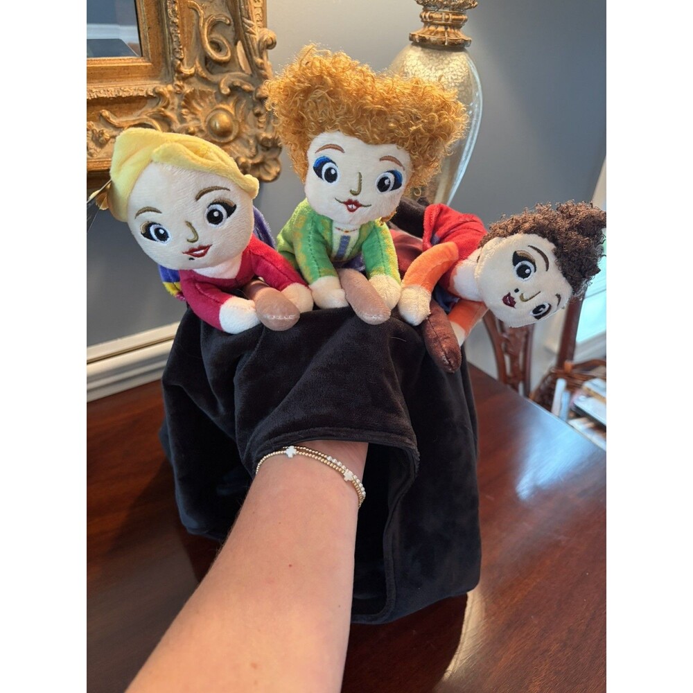 Disney Hocus Pocus Sanderson Sisters Dog Costume Large Halloween Pet Chewy NWT
